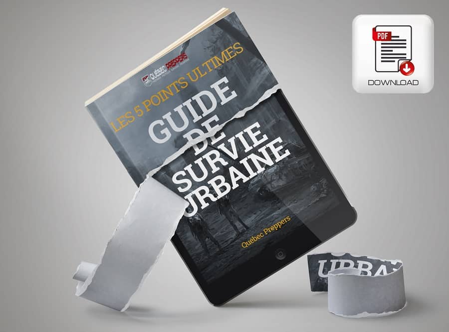 Ebook 5 Points Ultime De La Survie Urbaine