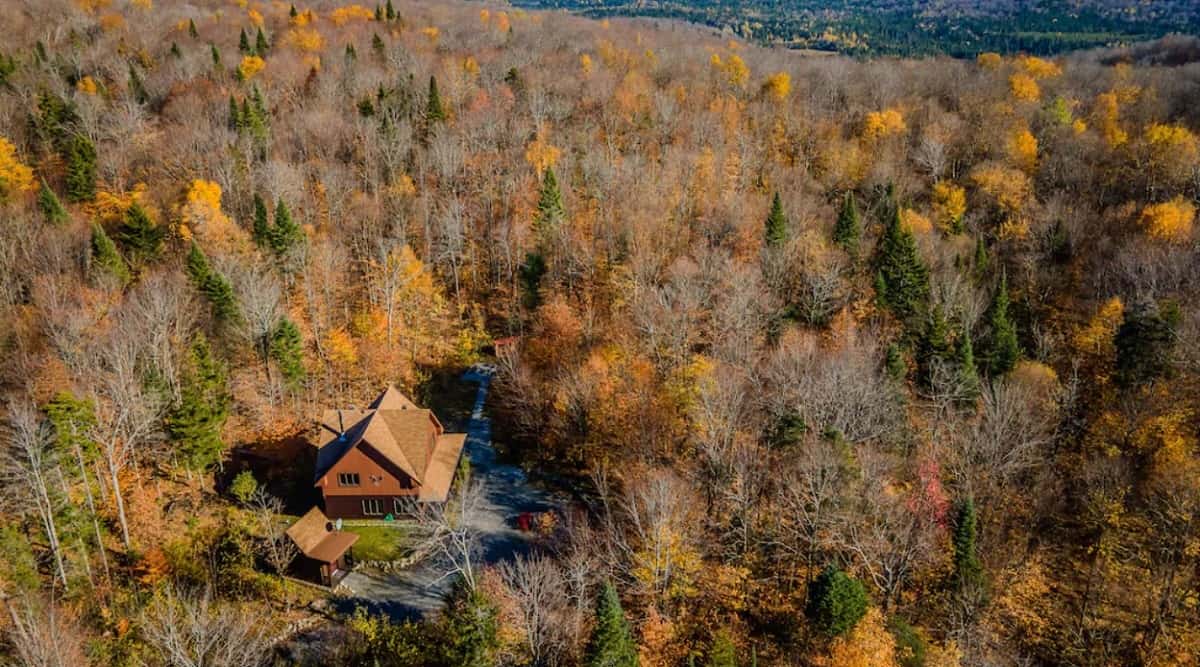 Scénario Blessure Profonde | Québec Preppers Scénario Blessure profonde