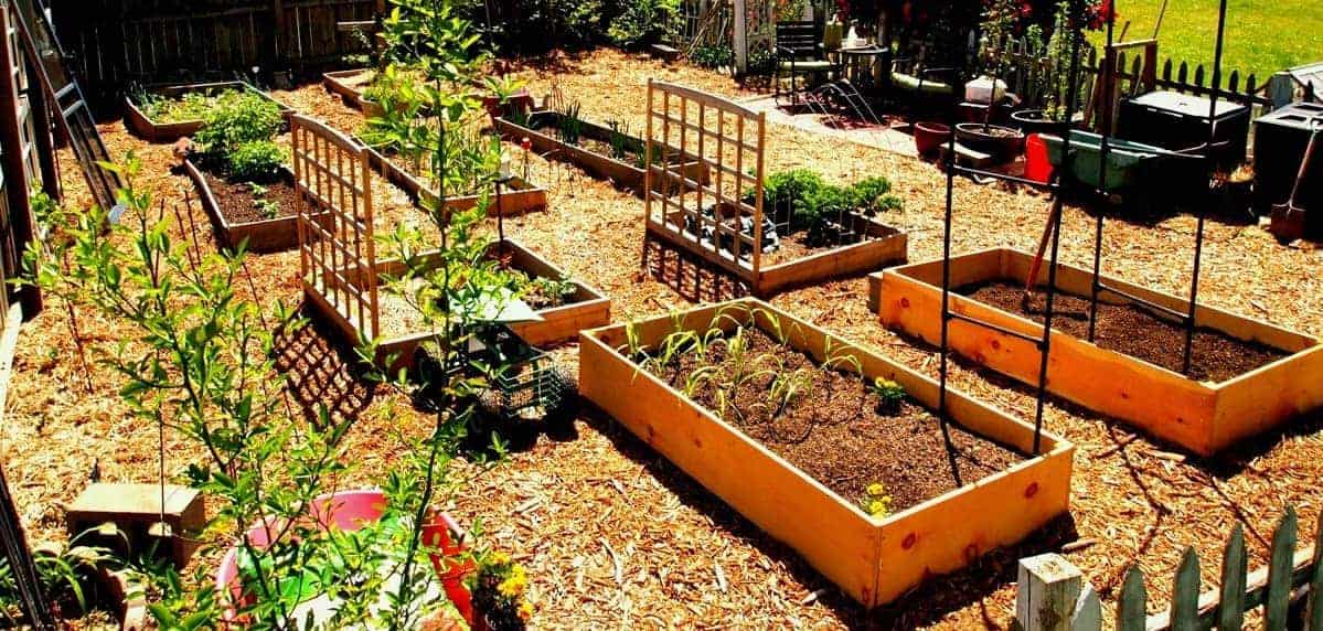 7 Conseils Pour Un Jardin Intelligent Et Sain | Québec Preppers 7 conseils pour un jardin intelligent et sain