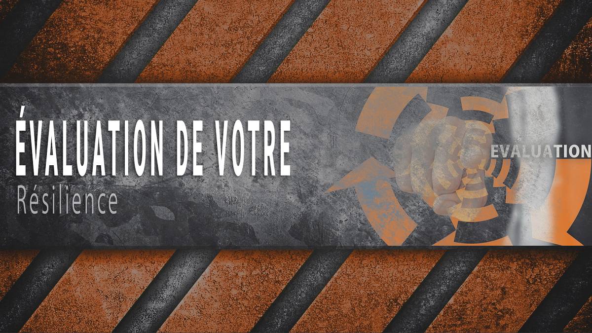 Calculateur De Résilience