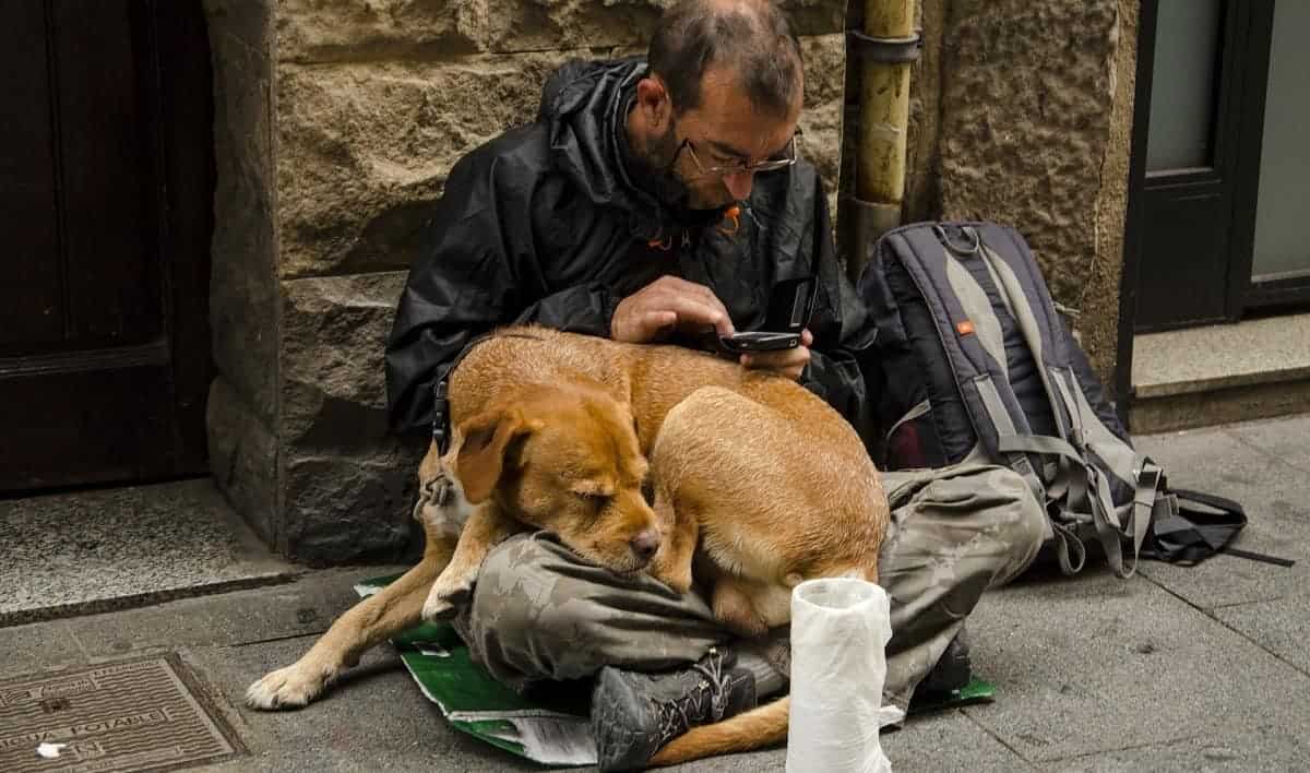 13 conseils de survie urbains des sans-abri