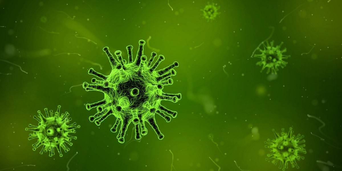 9 Infections Mortelles Que Les Gens Vont Avoir Après Le SHTF | Québec Preppers 9 infections mortelles que les gens vont avoir après le SHTF