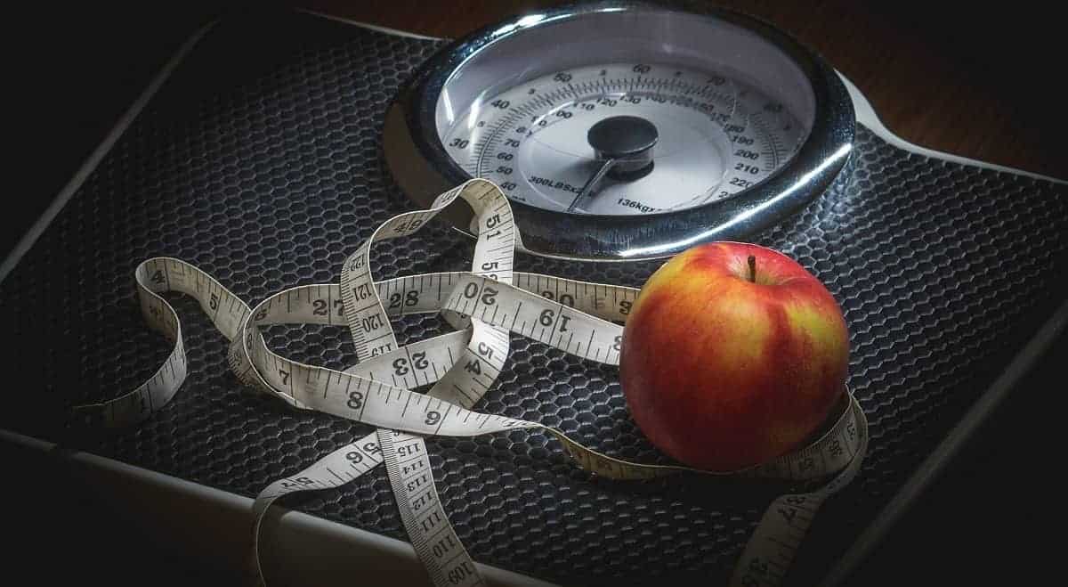 Devenir une machine préparée et en forme Perte de poids pour la survie