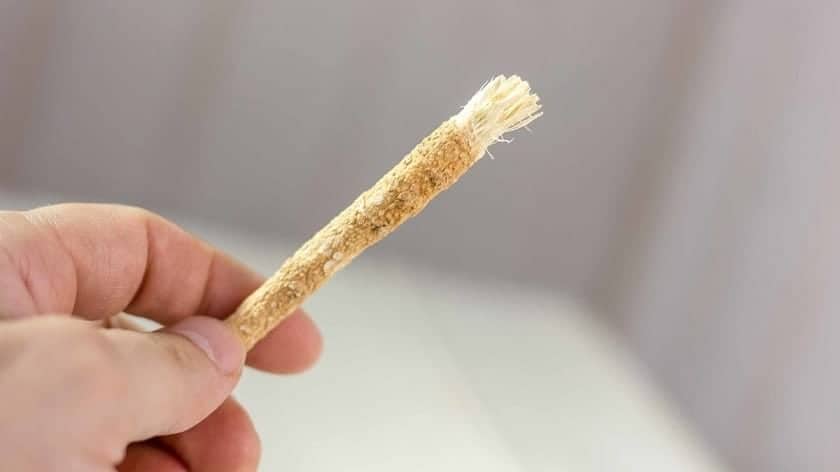 Https Cdncnn com Cnnnext Dam Assets 190704154140 01 Alternative Teeth Cleaning Miswak | Québec Preppers
