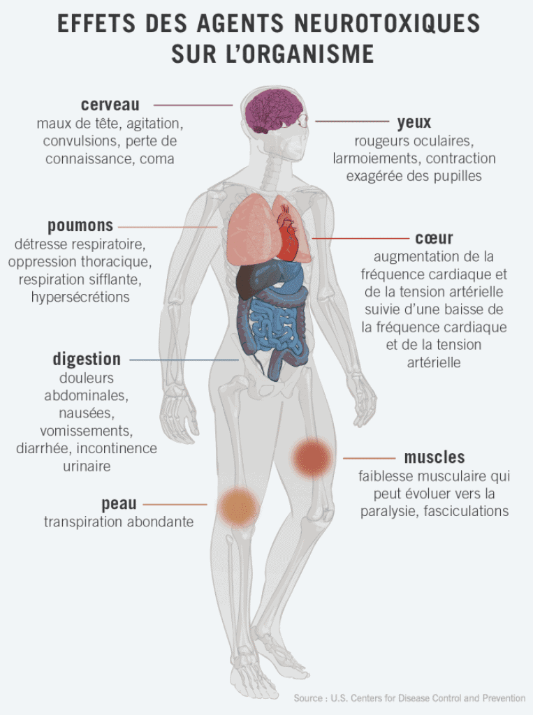 Nerve Agents FR 1 696x934 763x1024 | Québec Preppers Effets des agents neurotoxiques sur le corps humain