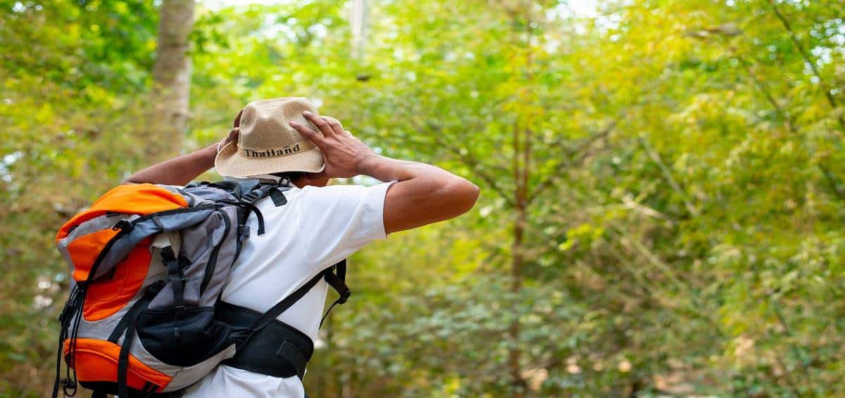 Perdu dans la forêt 5 étapes pour se retrouver
