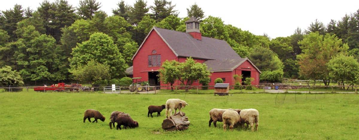 10 choses qui font une ferme de survie