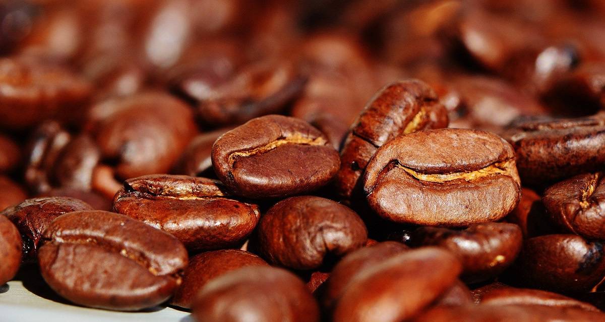 Conservation du café à long terme comment le garder frais pendant des années