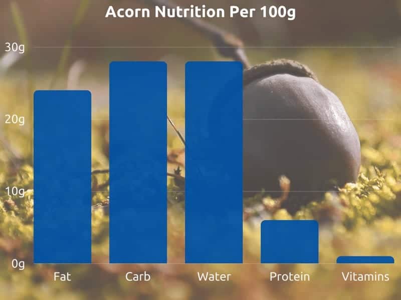 Tableau de la valeur nutritive des glands pour 100g