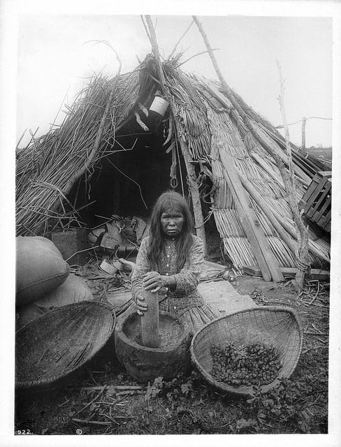 Amérindien Paiute décortiquant des glands