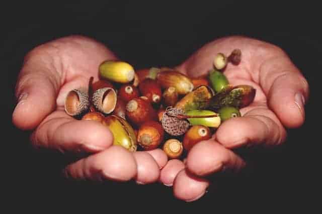 Glands dans les mains prêts à être lessivés