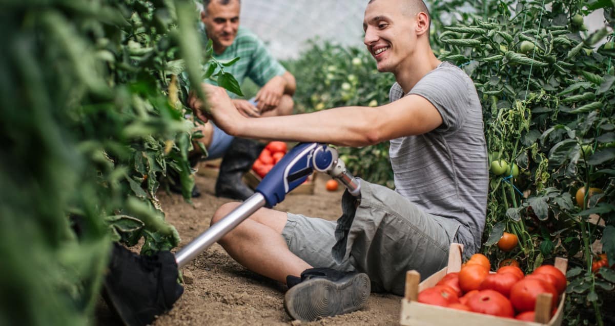 Jardinage Adaptatif Comment Cultiver Des Aliments Lorsque Vous Nêtes Pas En Forme Et Flexible | Québec Preppers Jardinage adaptatif comment cultiver des aliments lorsque vous nêtes pas en forme et flexible