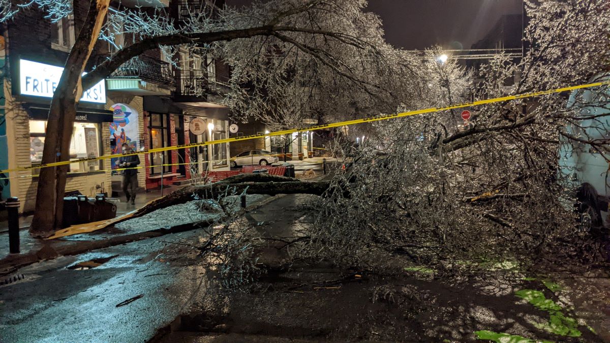 Survivre aux Catastrophes Naturelles en Ville : Préparation et Planification