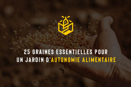 25 graines essentielles pour un jardin d'autonomie alimentaire