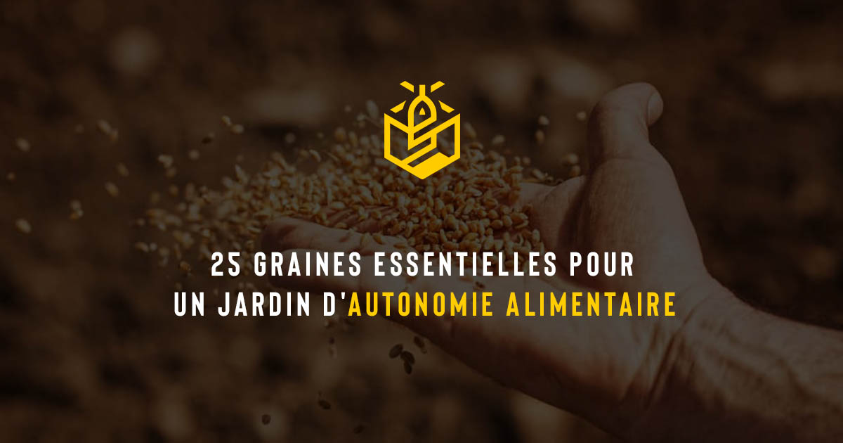 25 graines essentielles pour un jardin d'autonomie alimentaire