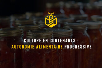 Culture en contenants : autonomie alimentaire progressive