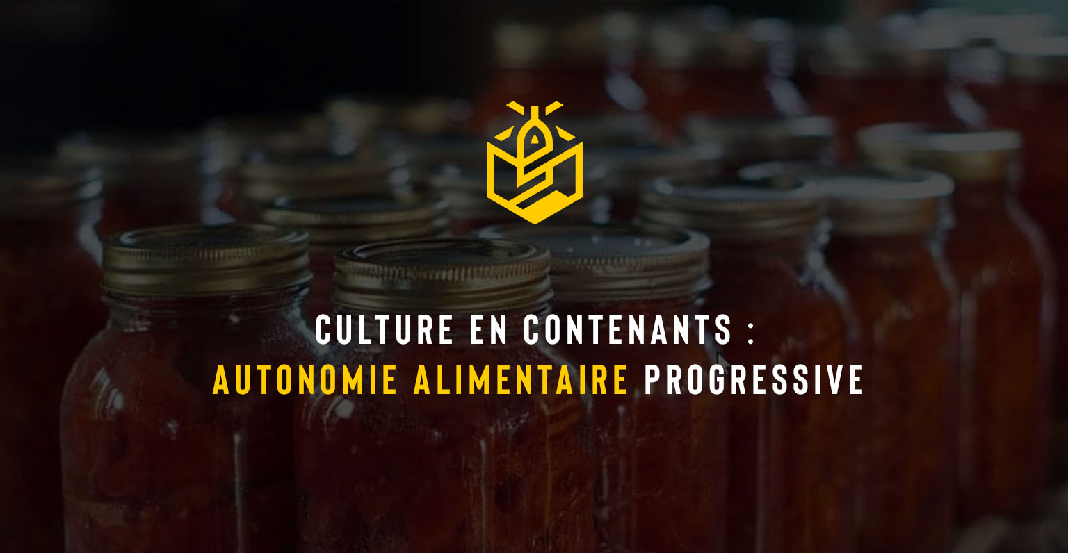 Culture en contenants : autonomie alimentaire progressive