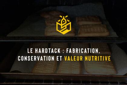 Le hardtack : fabrication, conservation et valeur nutritive