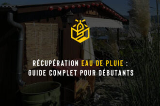Récupération eau de pluie : guide complet pour débutants