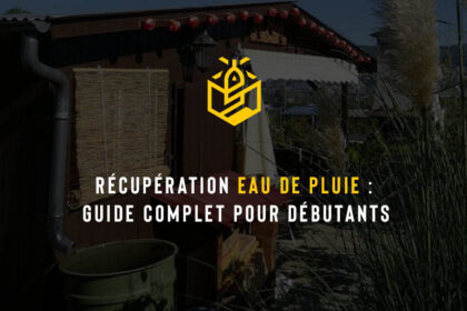 Récupération eau de pluie : guide complet pour débutants