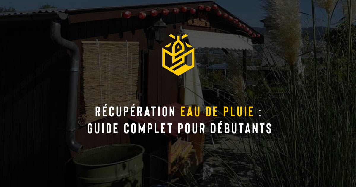 Récupération eau de pluie : guide complet pour débutants