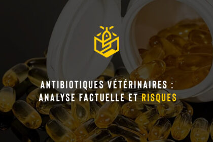 Antibiotiques vétérinaires : analyse factuelle et risques
