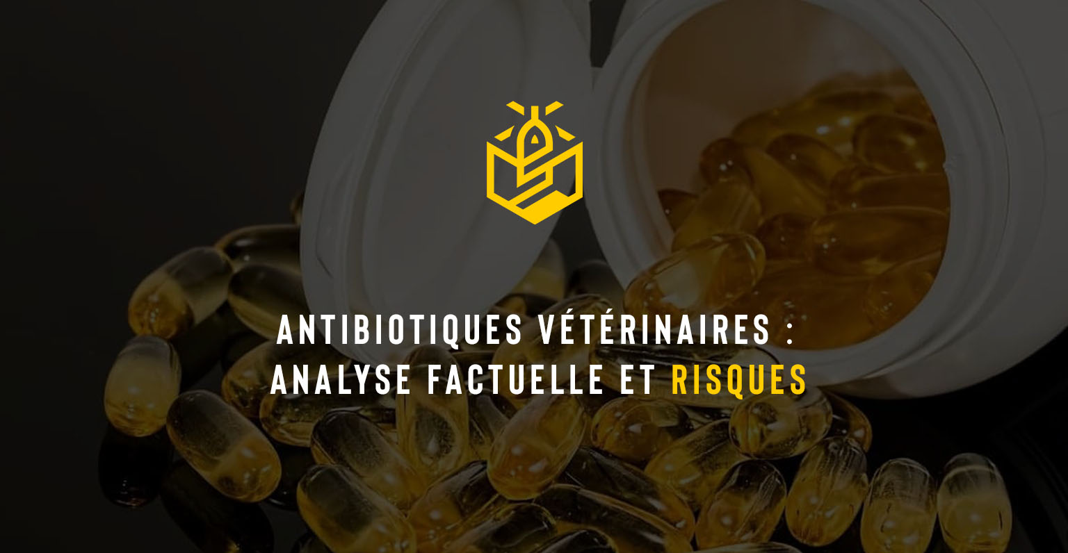 Antibiotiques vétérinaires : analyse factuelle et risques