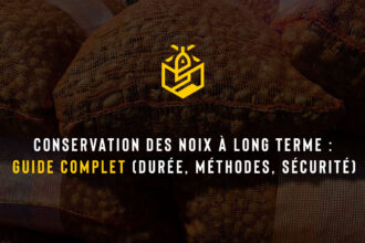 Conservation des noix à long terme - Guide complet (durée, méthodes, sécurité)