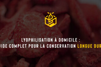Lyophilisation à domicile : guide complet pour la conservation longue durée