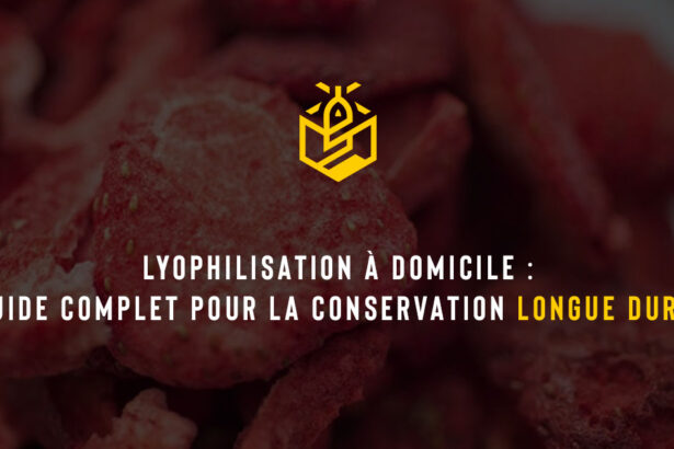 Lyophilisation à domicile : guide complet pour la conservation longue durée