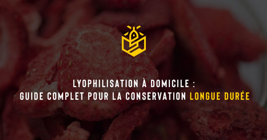 Lyophilisation à domicile : guide complet pour la conservation longue durée