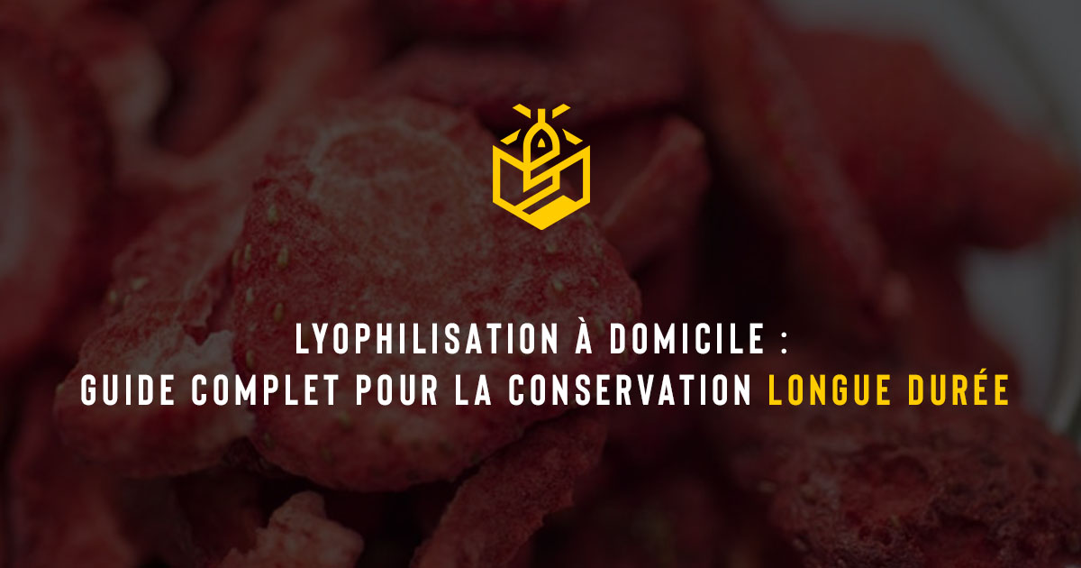 Lyophilisation à domicile : guide complet pour la conservation longue durée