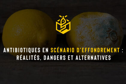 Antibiotiques en scénario d'effondrement : réalités, dangers et alternatives