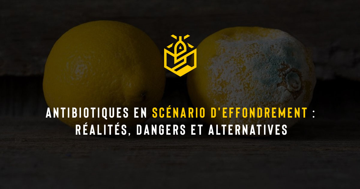 Antibiotiques en scénario d'effondrement : réalités, dangers et alternatives