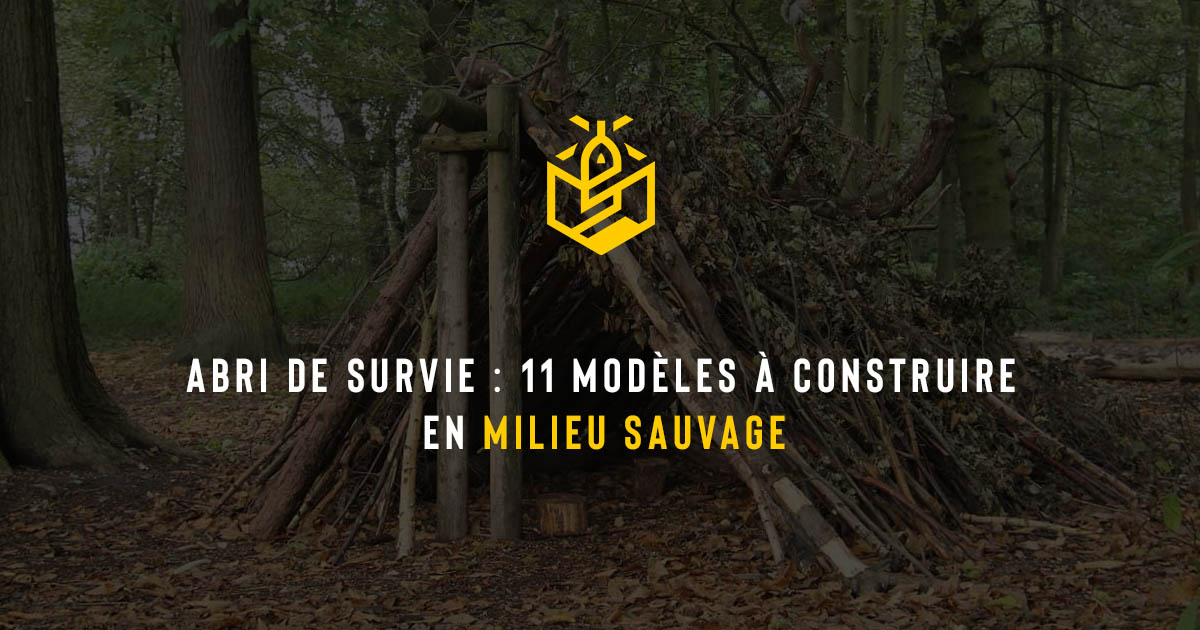 Abri de survie : 11 modèles à construire en milieu sauvage