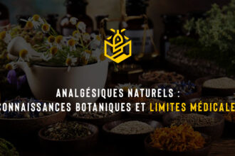 Analgésiques naturels : connaissances botaniques et limites médicales