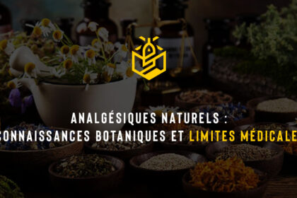 Analgésiques naturels : connaissances botaniques et limites médicales