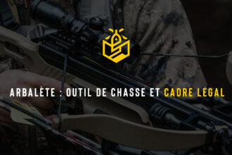 Arbalète : outil de chasse et cadre légal