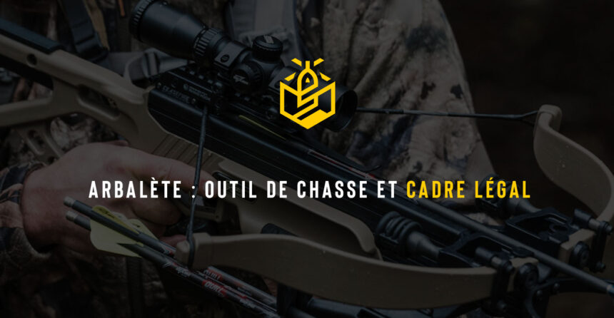 Arbalète : outil de chasse et cadre légal