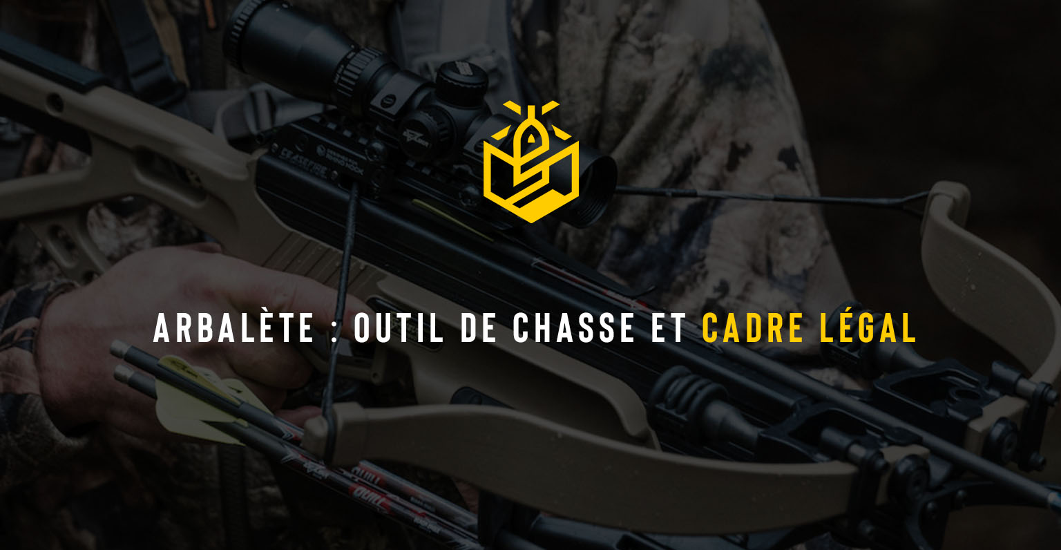 Arbalète : outil de chasse et cadre légal