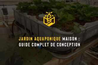 Jardin aquaponique maison : guide complet de conception