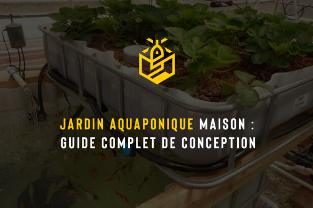 Jardin aquaponique maison : guide complet de conception