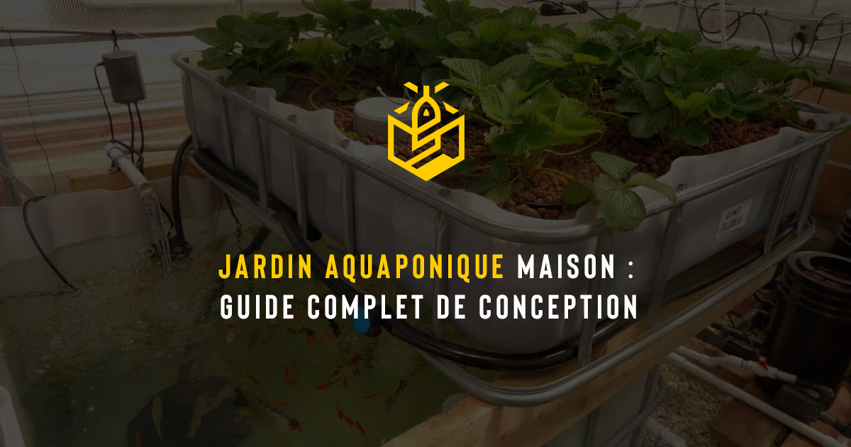 Jardin aquaponique maison : guide complet de conception