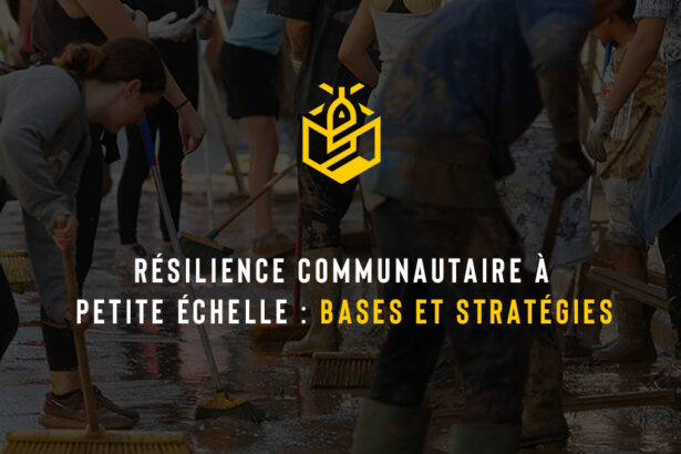 Résilience communautaire à petite échelle : bases et stratégies