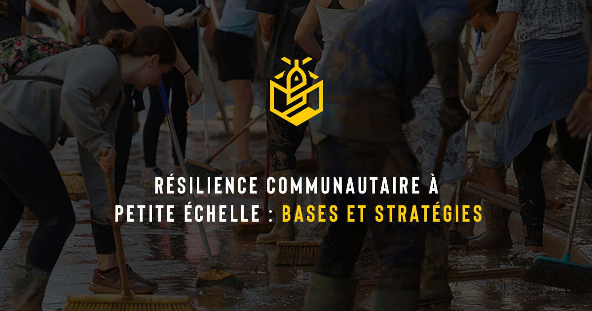 Résilience communautaire à petite échelle : bases et stratégies