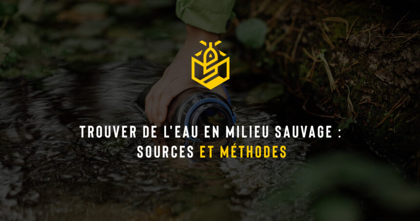 Trouver de l'eau en milieu sauvage : sources et méthodes