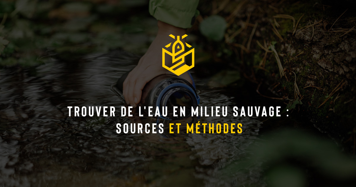 Trouver de l'eau en milieu sauvage : sources et méthodes