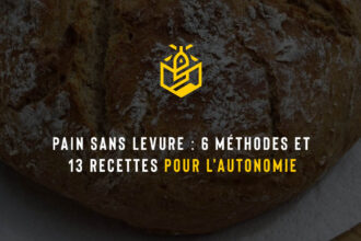 Pain sans levure : 6 méthodes et 13 recettes pour l'autonomie