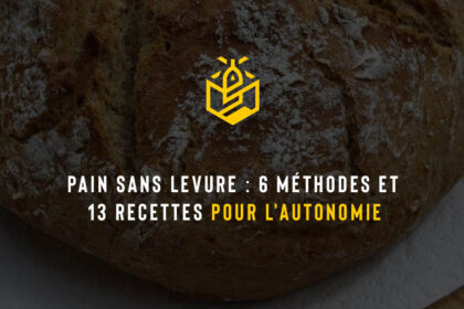 Pain sans levure : 6 méthodes et 13 recettes pour l'autonomie