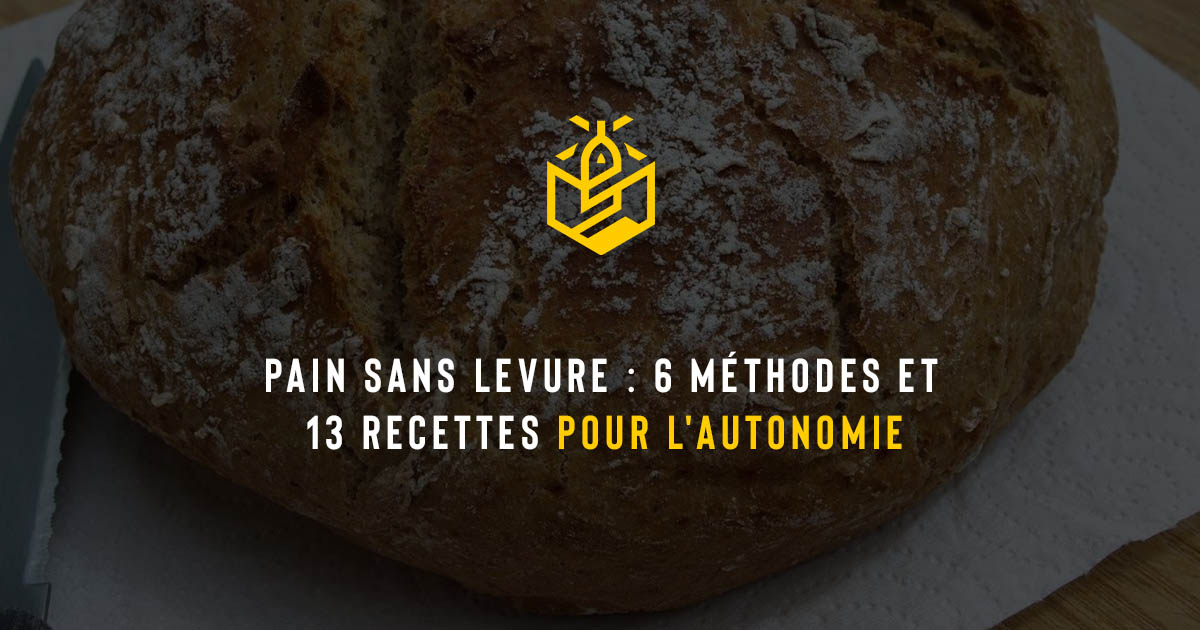 Pain sans levure : 6 méthodes et 13 recettes pour l'autonomie